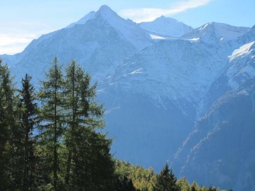 Apartamentos Waldheim