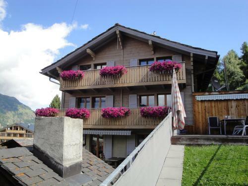 Apartamentos Steinbock