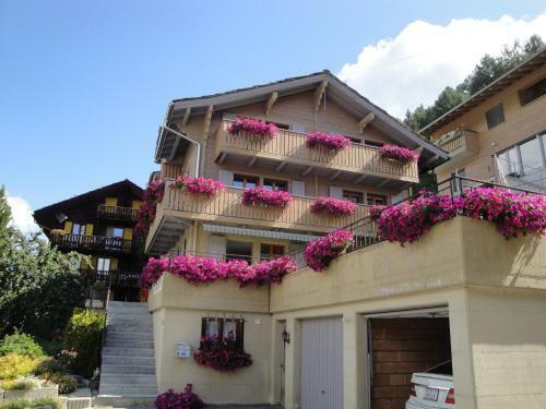 Apartamentos Steinbock