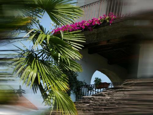 Bed & Breakfast Affittacamere Casa Archi