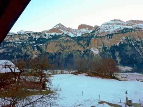 Chalet H�sli