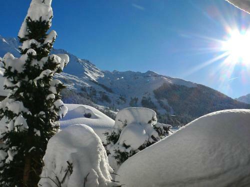 Apartment Fennec Verbier