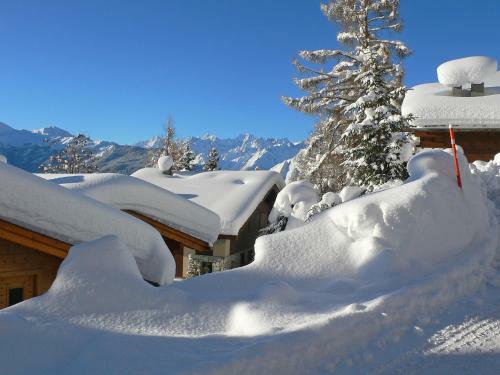 Apartment Fennec Verbier
