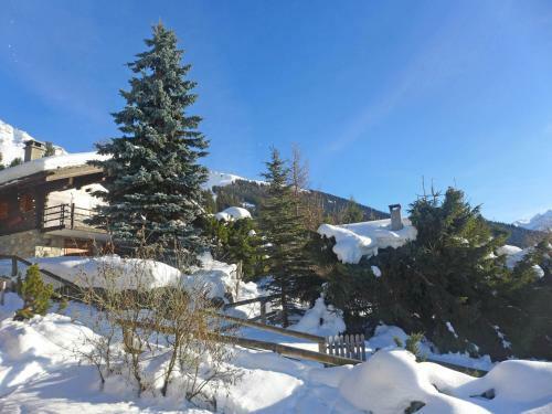 Apartment Summit Verbier