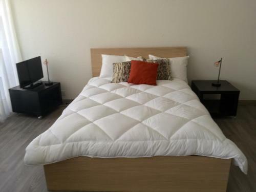 Apartamento R�sidence Malagnou
