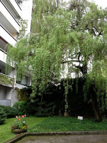 Apartamento R�sidence Malagnou