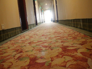 Greentree Inn Liaocheng Linqing Haishan Building E