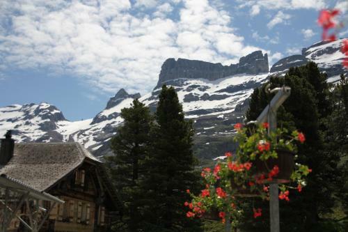 Hotel Alpenrose