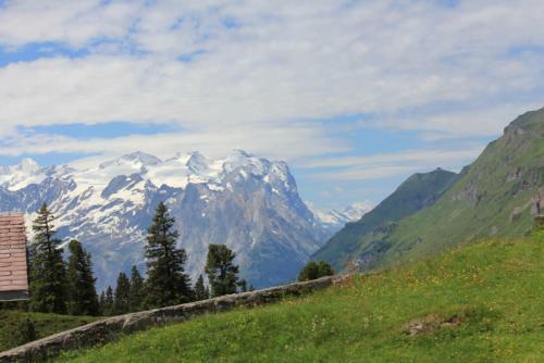Hotel Alpenrose