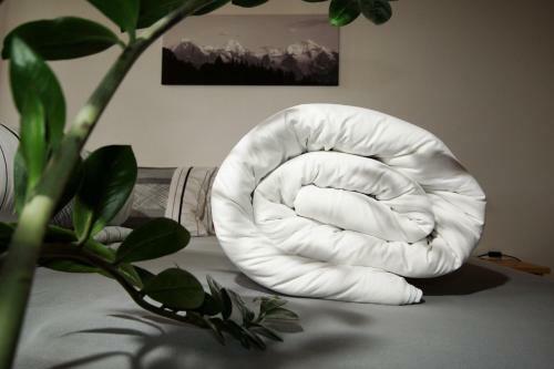 Alphotel Eiger B&B