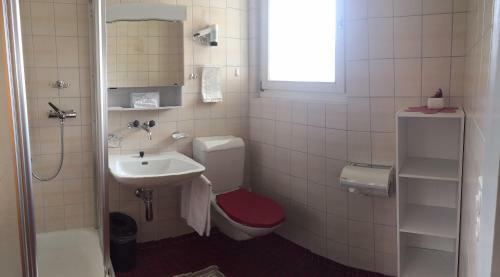 Hotel Albergo Lardi