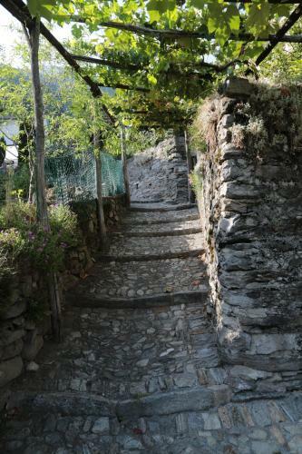 Apartamento Rustico