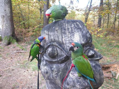 Bed & Breakfast Da Erminia