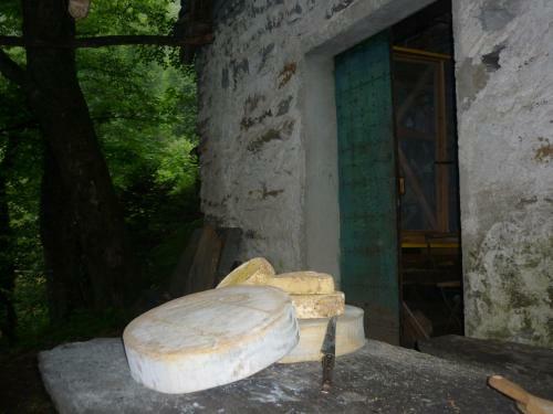 Bed & Breakfast Da Erminia
