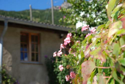 Bed & Breakfast Casa Dosc