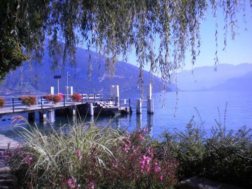Chalet Tannegg