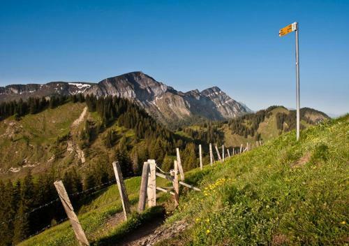 Apartamento Chalet Murmeli
