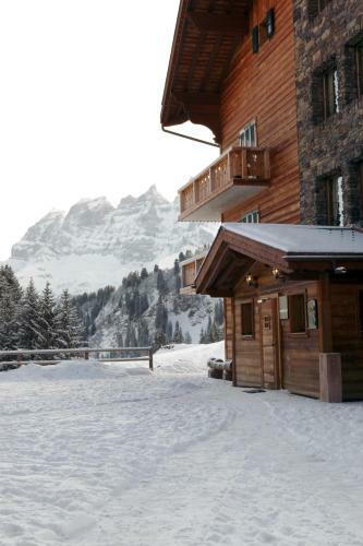 Hotel Mountain Lodge