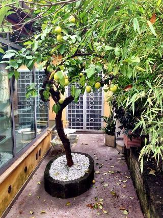 Hotel Relais Vaticano