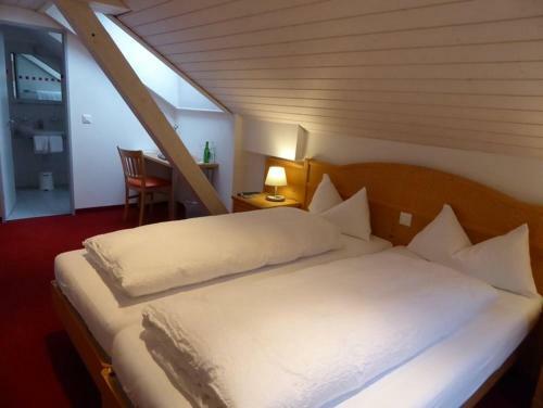 Posada Hotel Ladina