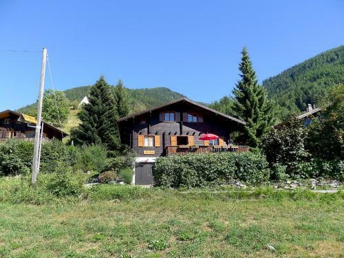 Apartment Am Biel Muhlebach