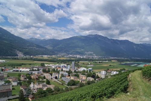 Hotel Le Cedre