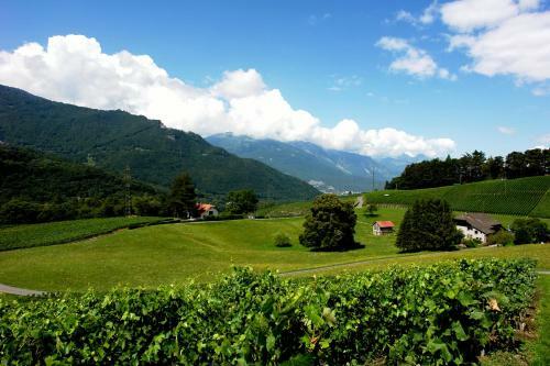 Clos Des Caillettes