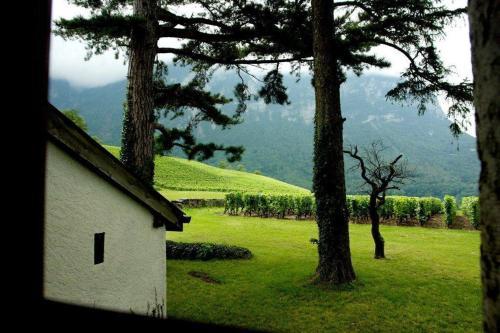 Clos Des Caillettes