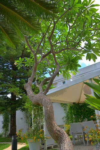 B&B Mondello Resort