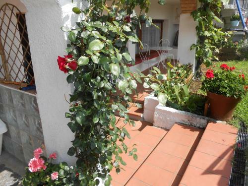 Apartamentos Villa Colibri
