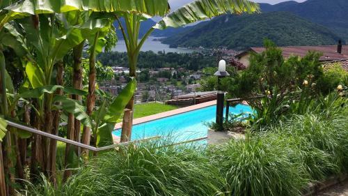Apartamentos Villa Colibri