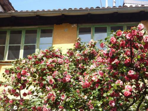 Apartamento C� Melia Bedigliora
