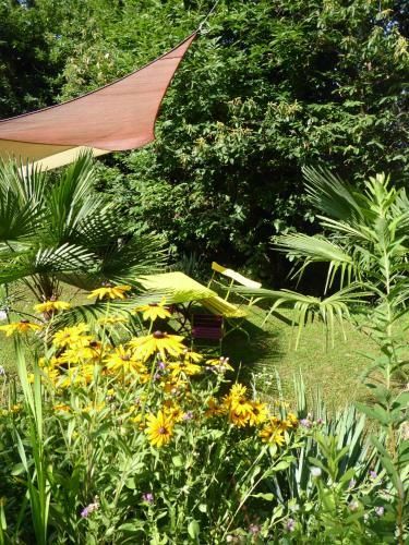 Apartamento C� Melia Bedigliora