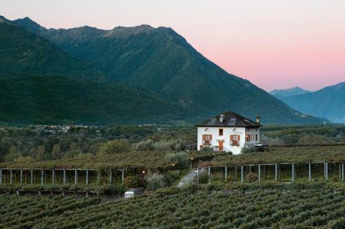Hotel Fattoria L'amorosa