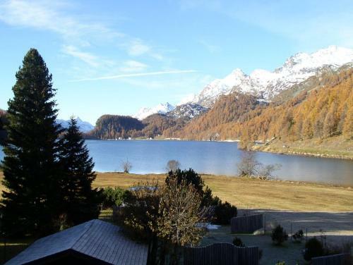 Hotel Chesa Grischa