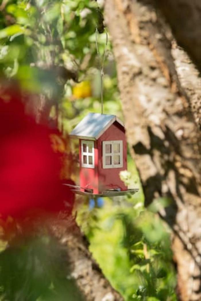 Bed & Breakfast G�stehaus Sonne