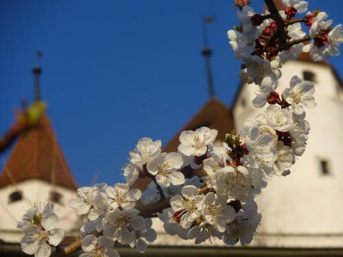 Hotel Restaurant Schwert Thun