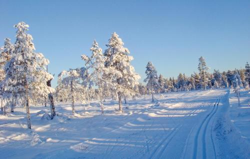 Holiday Home Klar�lvsv�gen Syssleb�ck III