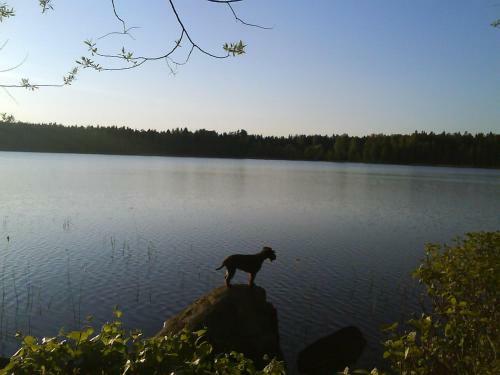 Apartamento Vimmerby Stugby
