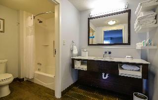 Hotel Hampton Inn Brighton Mi