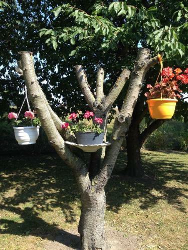 Hostal Vivans B&B