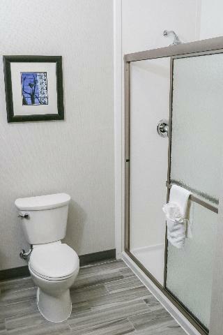 Holiday Inn Hotel And Suites Denver Tech Center-ce
