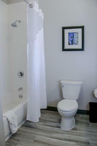 Holiday Inn Hotel And Suites Denver Tech Center-ce