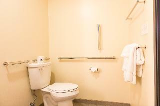 Holiday Inn Hotels And Suites Mount Pleasant