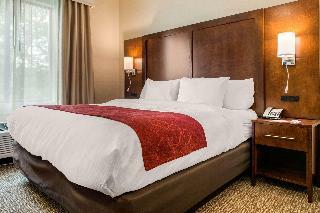 Hotel Comfort Suites Columbus Airport