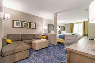 Hotel Comfort Suites Humble Houston At Beltway 8