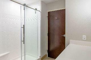 Hotel Comfort Suites Humble Houston At Beltway 8