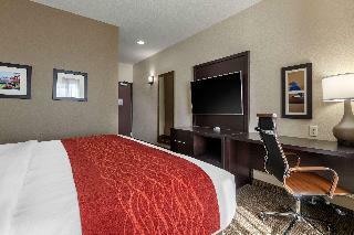 Hotel Comfort Inn Suites Cedar Rapids Cid Eastern Iowa
