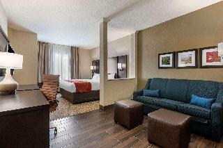 Hotel Comfort Inn Suites Cedar Rapids Cid Eastern Iowa