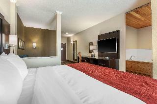 Hotel Comfort Inn Suites Cedar Rapids Cid Eastern Iowa